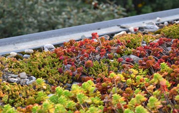 the cost of St Nicholas South Elmham green roof installation