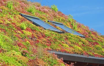 St Nicholas South Elmham living roof systems