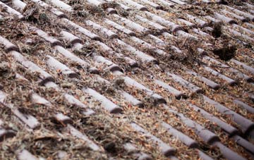 St Nicholas South Elmham roof cleaning companies